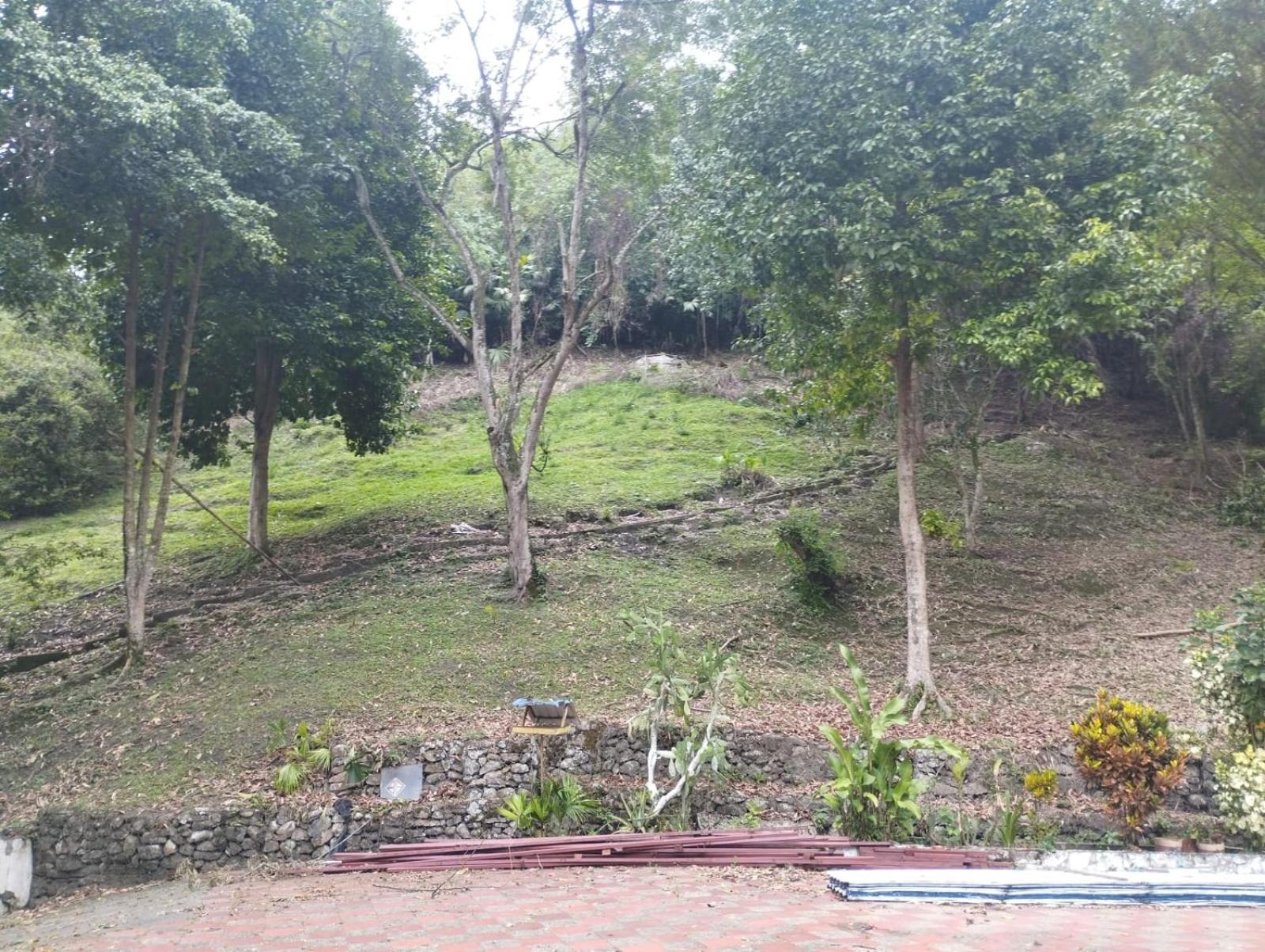 Santa Cecilia